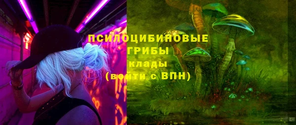 гидра Сафоново